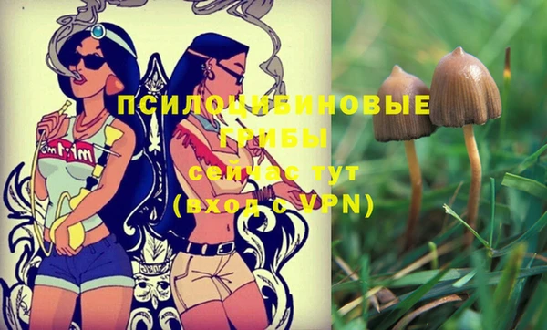 марки lsd Волоколамск