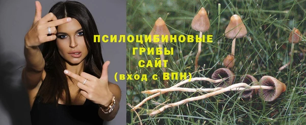 амф Волосово
