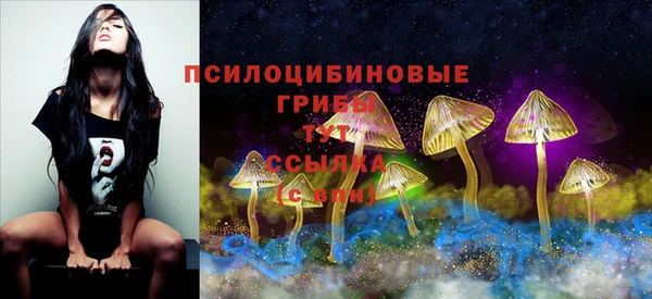 амф Волосово