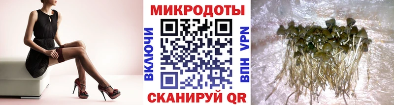 Псилоцибиновые грибы мицелий Купить закладки Анива